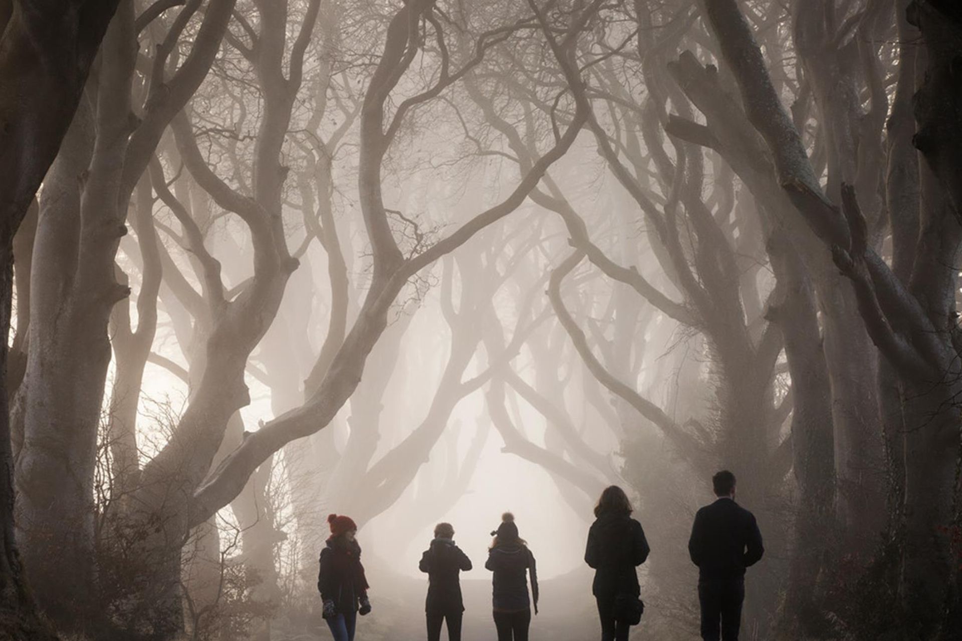 The Dark Hedges by Discovernorthernireland.com