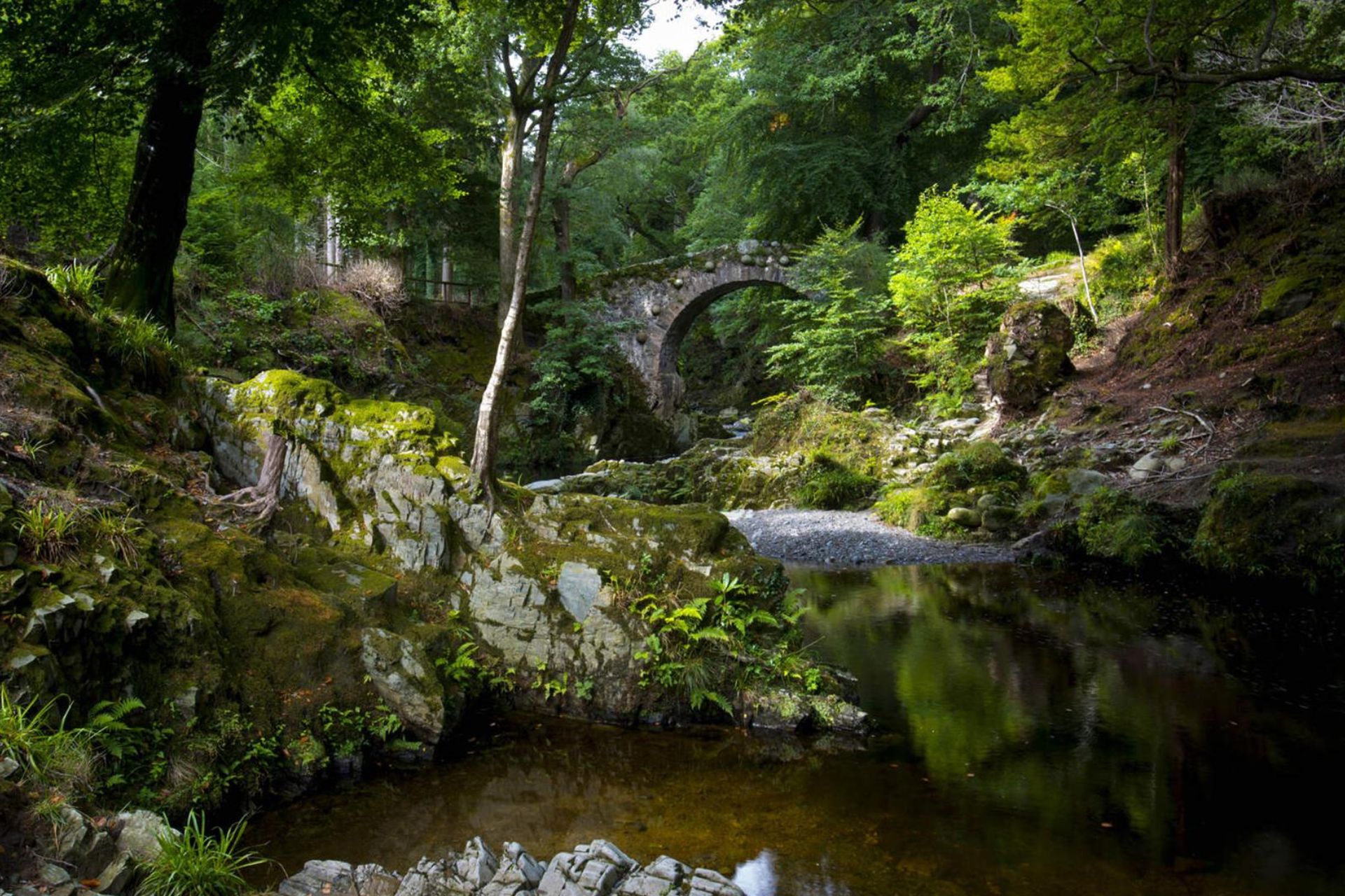 Tollymore Forest, Newcastle