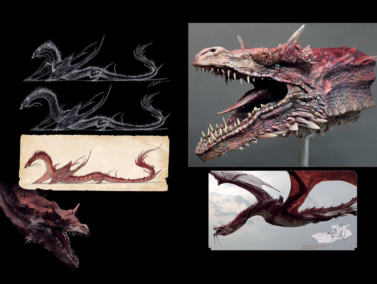 House Of The Dragon Concept Art Shows Chinese Inspiration For Caraxes ...